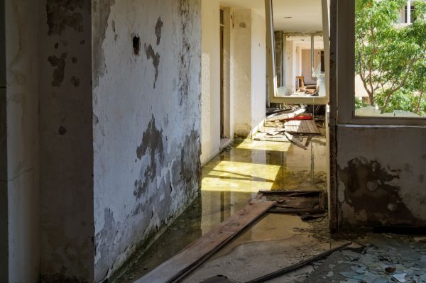 Cost of Water Removal Service in Bloomfield Hills