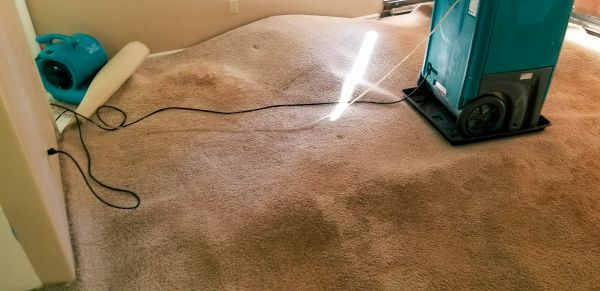 Cost of Carpet Water Extraction in Bloomfield Hills