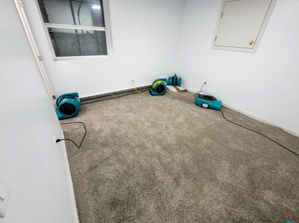 Flood Restoration Service in Bloomfield Hills